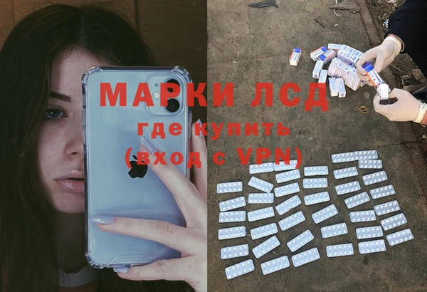 дживик Аркадак