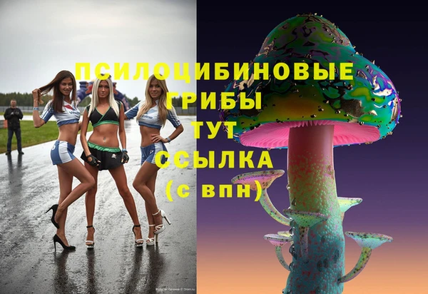 первитин Арсеньев