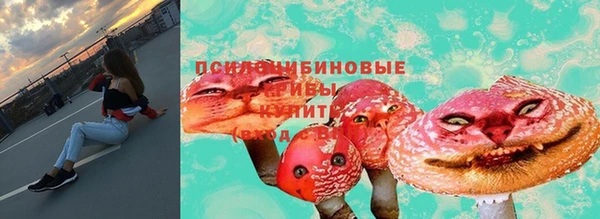 дживик Аркадак