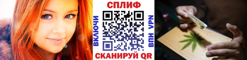 Купить закладки  Новороссийск  МАРИХУАНА ГИДРОПОН 